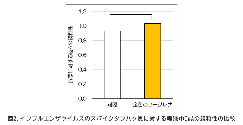 図2.インフルエンザウイルスのスパイクタンパク質に対する唾液中IgAの親和性の比較