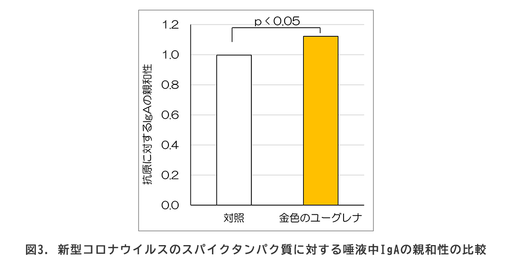 図3.新型コロナウイルスのスパイクタンパク質に対する唾液中IgAの親和性の比較